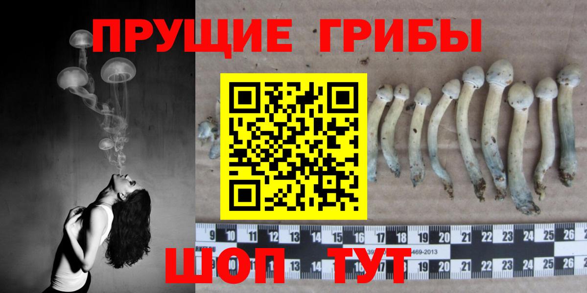 Псилоцибиновые грибы GOLDEN TEACHER  Вход с VPN  Астрахань 